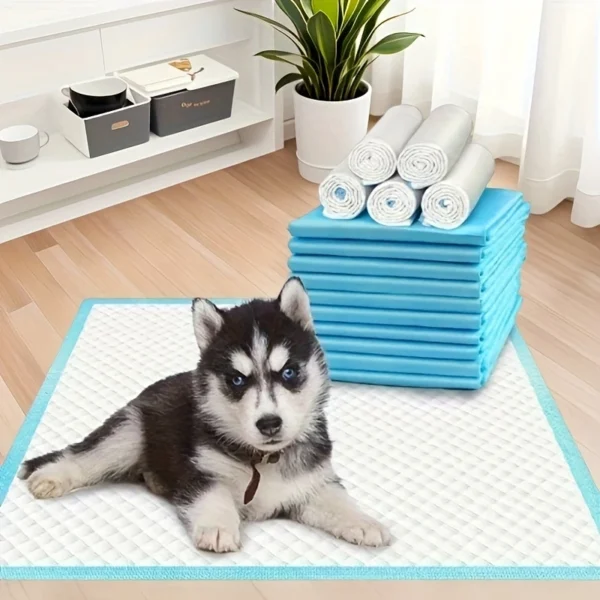 Toallas higiénicas desechables para mascotas, tamaño 60 x 60 cm, en colores azul y blanco. Absorbentes, impermeables y con control de olores.